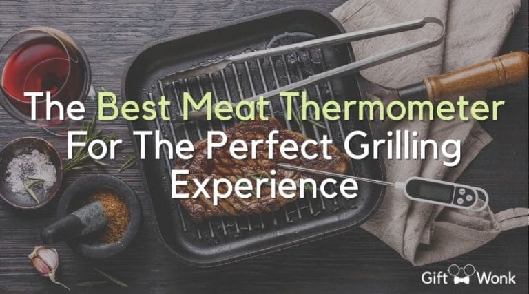 The 5 Best Meat Thermometer For the Perfect Grilling Experience